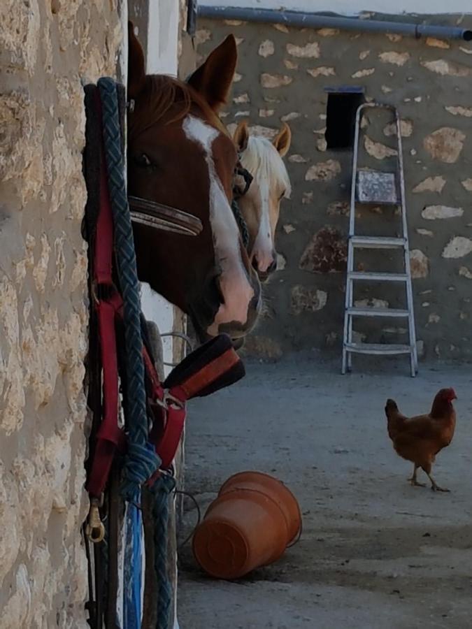 Ferienwohnung Ranch de Sidi kaouki Essaouira Exterior foto